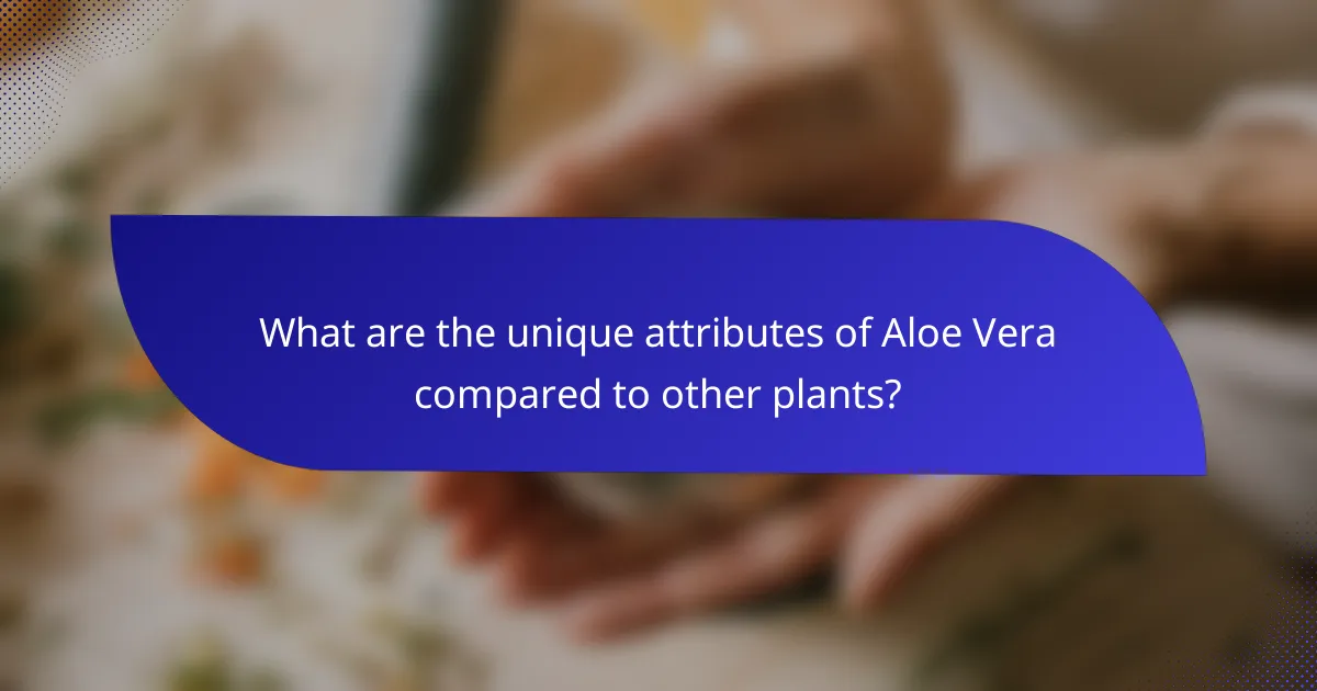 What are the unique attributes of Aloe Vera compared to other plants?