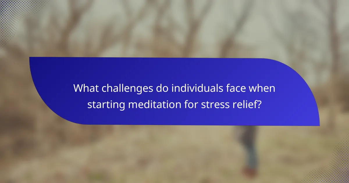 What challenges do individuals face when starting meditation for stress relief?