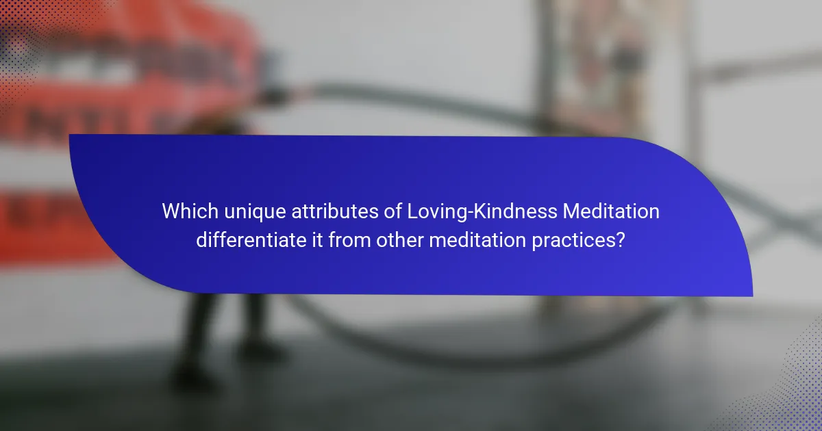 Which unique attributes of Loving-Kindness Meditation differentiate it from other meditation practices?